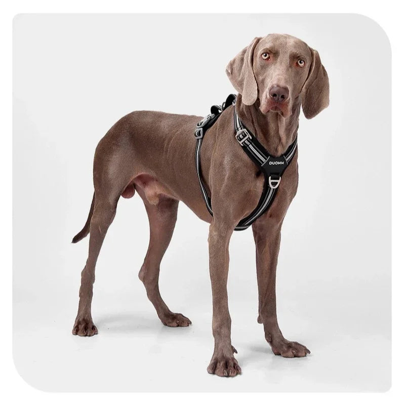 OUZEY Anti Pull Dog Harness Leash Set Reflective Wear Resistant Soft Outdoor Walking Pet Chest Strap Fashion Safety Pet Supplies